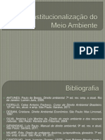 A Constitucionaliza o Do Meio Ambiente