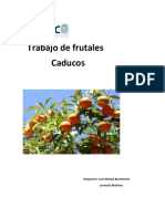 Trabajo_de_frutales_1[1].docx