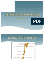 Osteologia - Extremidades
