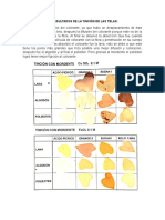 Resultados de La Tinción de Telas