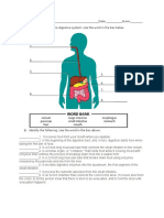Name: - Date: - Score: - A. Label The Parts of The Digestive System. Use The Word in The Box Below