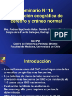 Cefalicausg PDF
