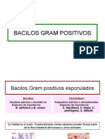 1.bacilos Gram Positivos