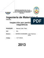 Esnyo de Particulas Magneticas