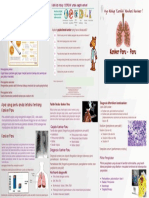 Leaflet Paru-Paru PDF