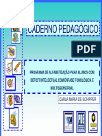 Programa de alfabetização fonológica e multisssensorial para alunos com déficit intelectual