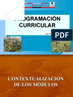 2. Programaciòn Curricular