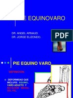 PieEquinovaro.pdf