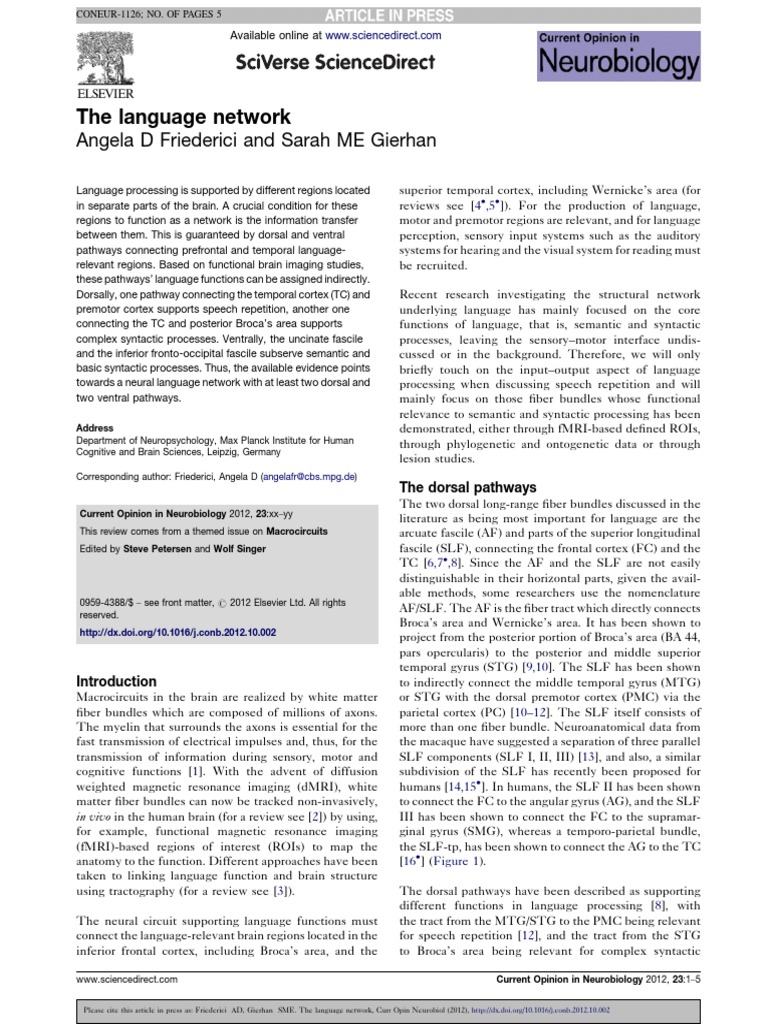 Language of anatomy diagram picture