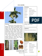 Arecaceae 2
