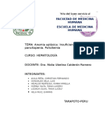 04.-Informe-Anemia-aplásica-y-policitemia.docx