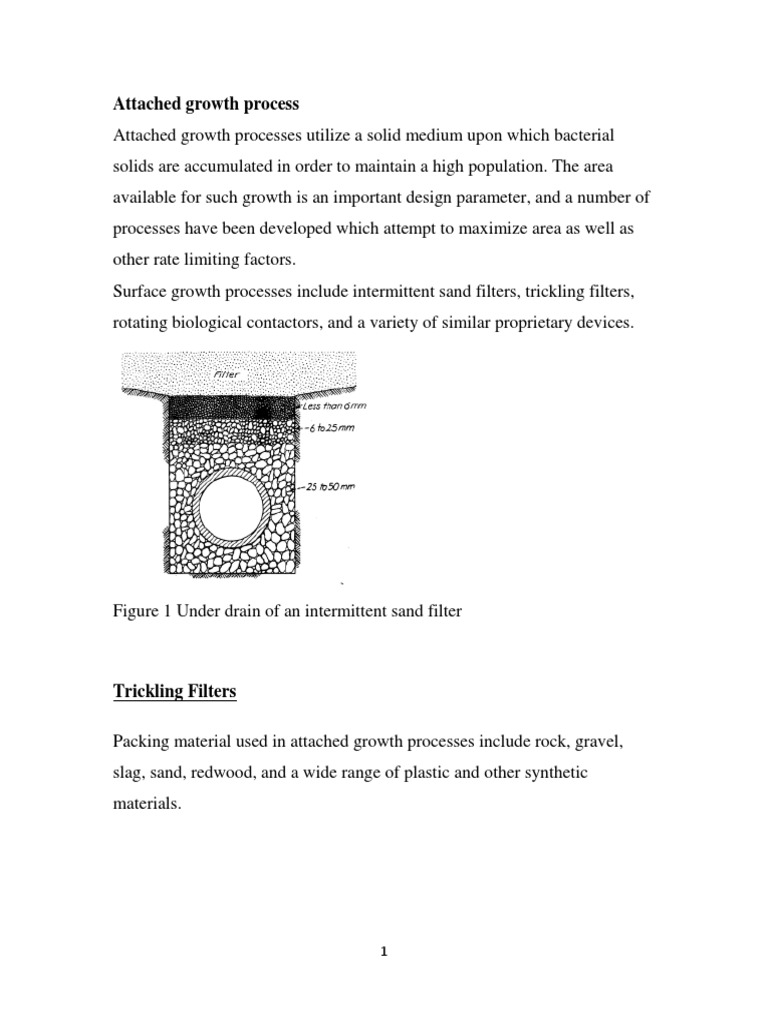 Lecture 12 Trickling Filter PDF Biofilm Environmental Technology