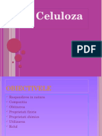 Celuloza