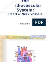 6 - Cardiovascular