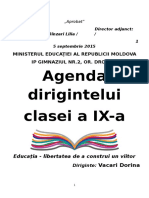 agenda_dirigintelui_ix.docx