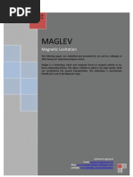 Paper on Magnetic Levitation