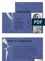 28631688-Trademark.pdf