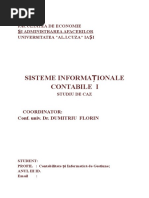 Sisteme Informationale Contabile - Studiu de Caz - SC AtlaSib SRL