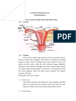 LP Metrorargia