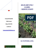 10._cultivo_de_la_papa.pdf