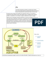 Ciclo del Fósforo: nutriente esencial en ecosistemas