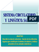 Sistema_Circulatorio y linfatico.pdf