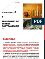 Trastorno de Estrés Postraumático Y Trastorno de Ansiedad