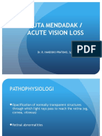 Buta Mendadak / Acute Vision Loss: Dr. R. Handoko Pratomo, SPM