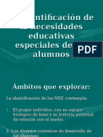 La Identificación de La Necesidades Educativas Especiales De