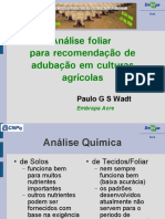 Análise Foliar para Recomendação Adubação - Paulo Wadt PDF
