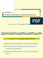 Concepte Fundamentale PDF