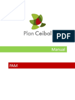 Manual PAM