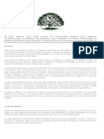 ARBOL SAGRADO - Corto (1).pdf