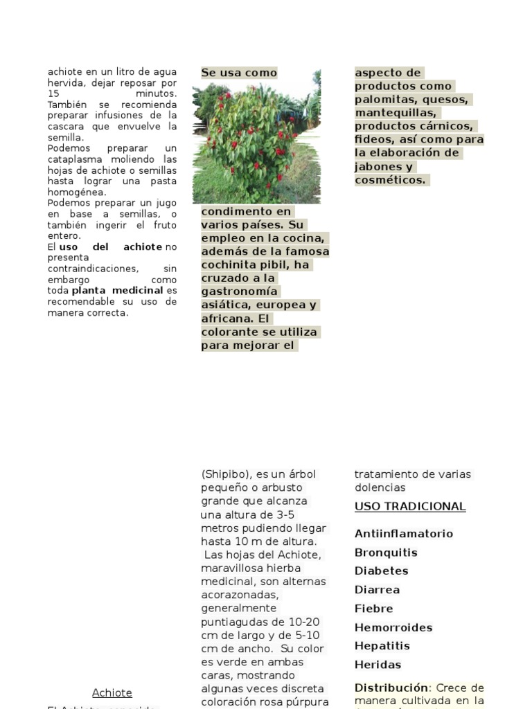 Wwf Plantas Medicinales Botanica