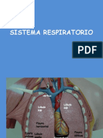 Sistema respiratorio!.pdf