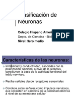 clasif de neuronas_3_2010.pps