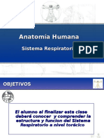 Clase Respiratorio Nutri