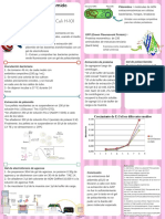 Extracción de Plásmido pGLO y GFP PDF