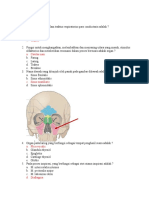 Soal Quiz PAT Anatomi.docx