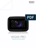 Sony Vegas pro100 Qsg Esp