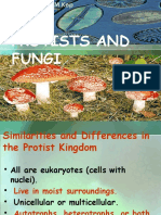 Protists and Fungi Fix