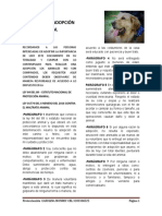SOLICITUD DE ADOPCIÓN ANIMAL caro.docx