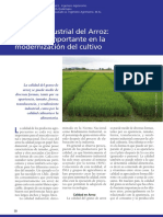 Calidad Industrial del Arroz.pdf