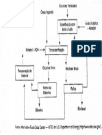 Biodiesel Fluxo Prod