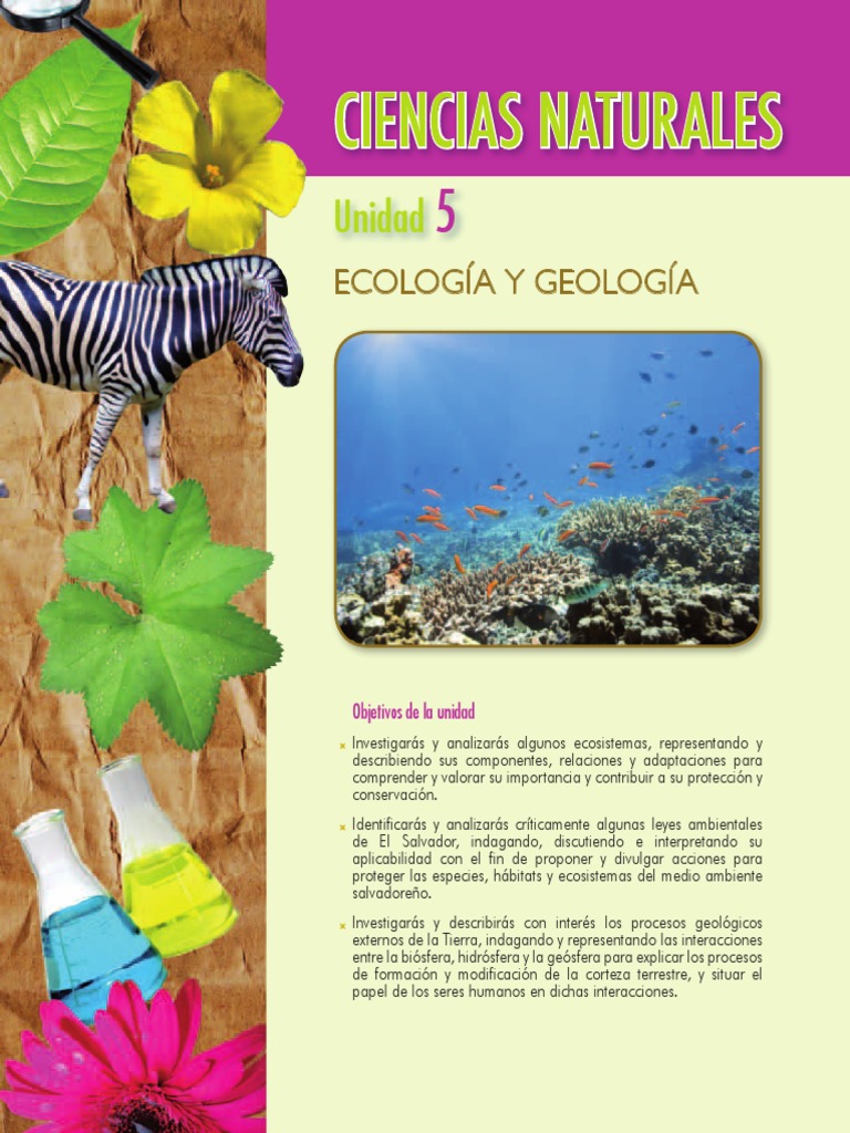 Bajo El Estigma Del Quinto Sol Pdf Editor