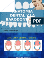 Anatomia y Barodontalgia
