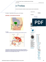 Dr DEO - Próstata.pdf