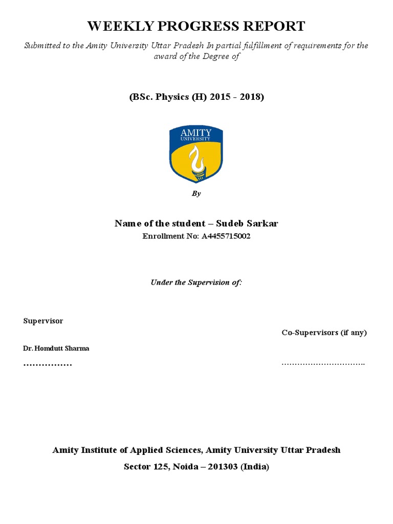 Weekly Progress Report 2 Pdf