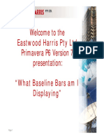 P6_V7_What_Baseline_Bars_am_I_Displaying.pdf