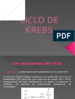 Ciclo de Krebs